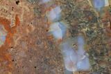 Colorful, Polished Petrified Wood Section - Arizona #136187-2